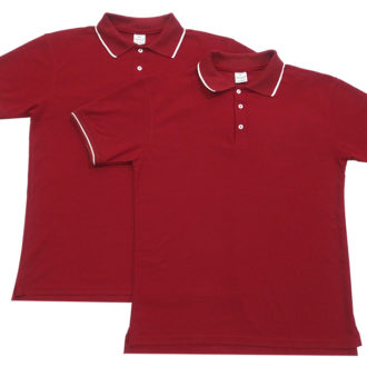 Polo1 copia Polo1 copia